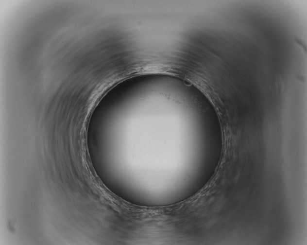 X0000102240289200808011254