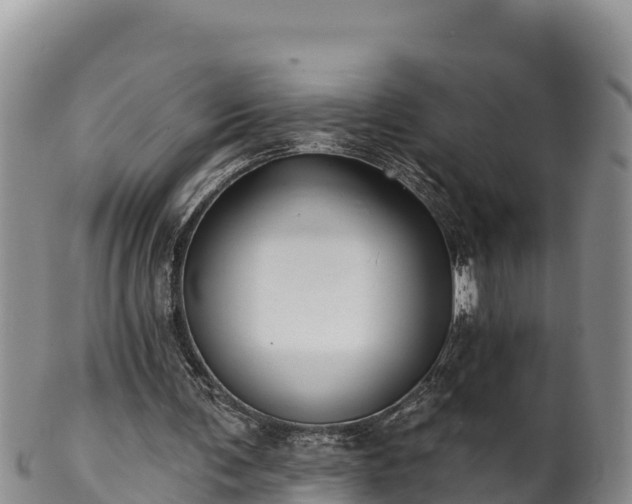 X0000102240291200808011254