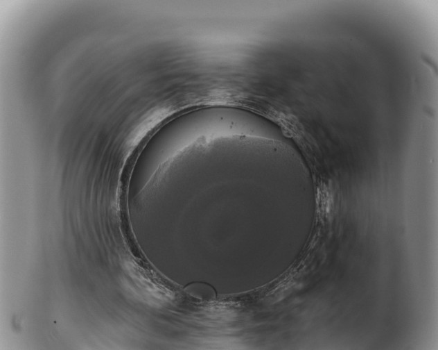 X0000102240292200808011254