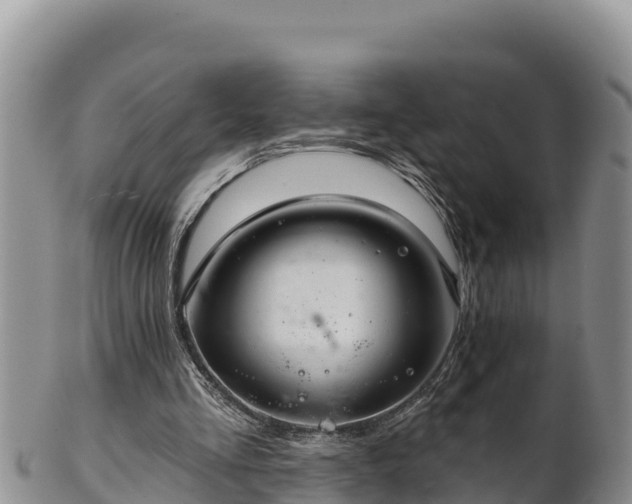 X0000102240293200808011254