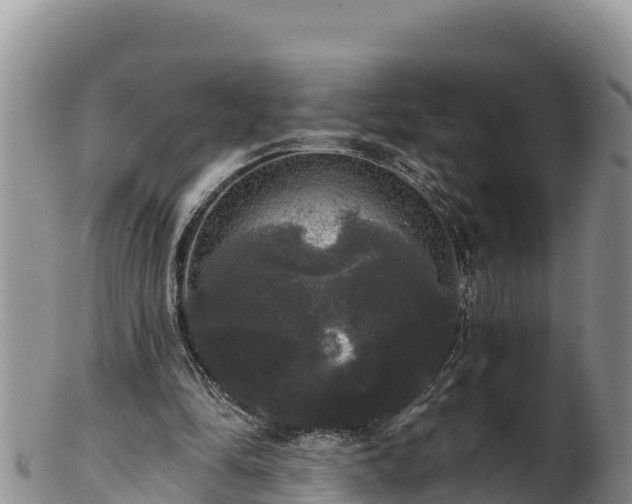 X0000102240294200808011254