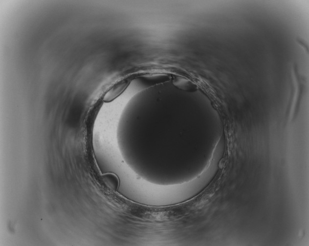 X0000102240295200808011254