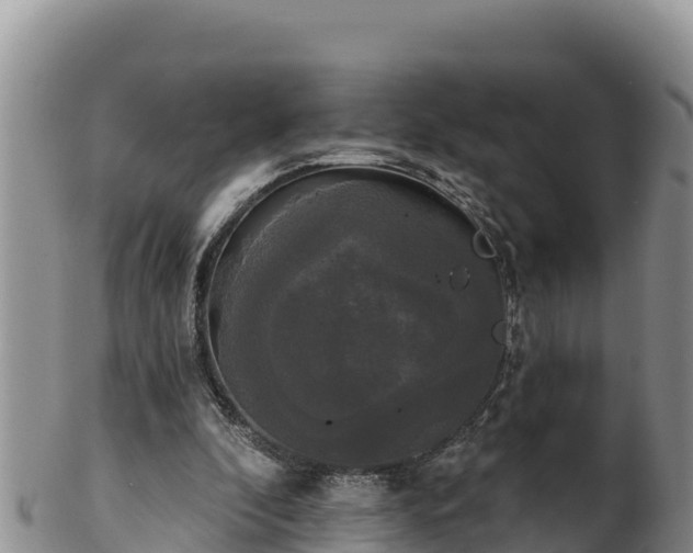 X0000102240296200808011254