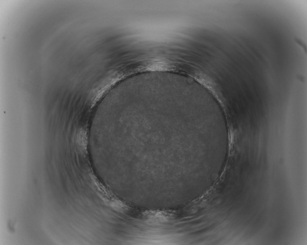 X0000102240297200808011254