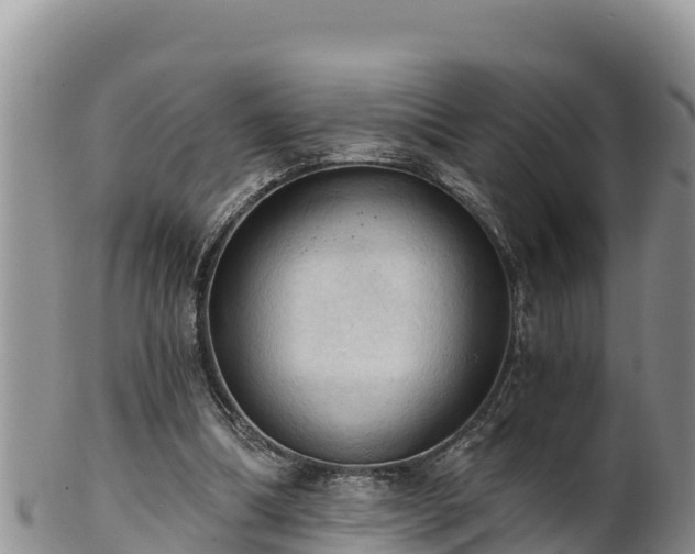 X0000102240298200808011254