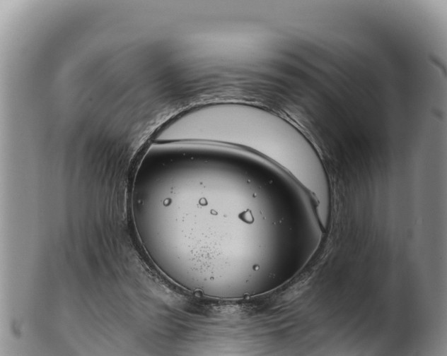 X0000102240301200808011254