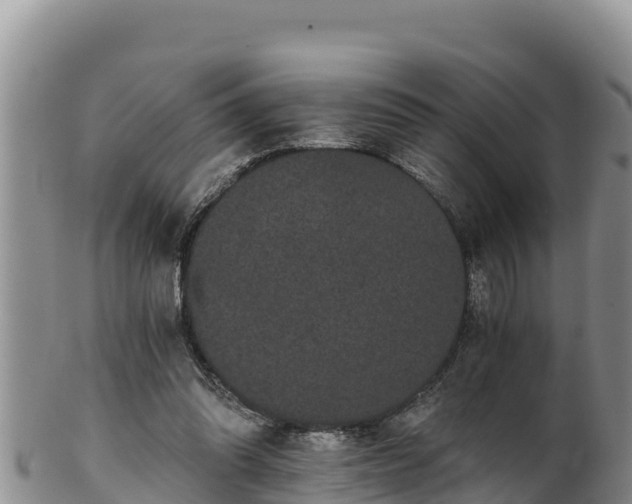 X0000102240302200808011254