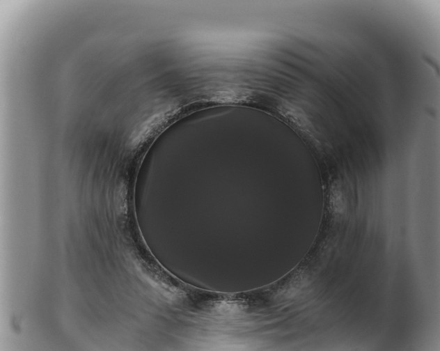 X0000102240303200808011254