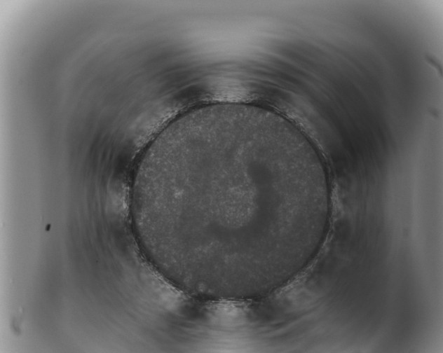 X0000102240305200808011254