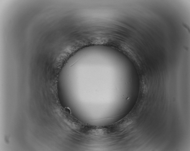 X0000102240307200808011254