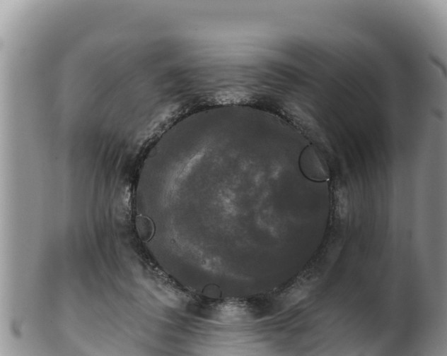 X0000102240308200808011254