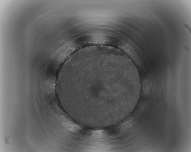 X0000102240309200808011254