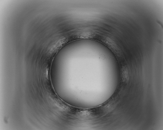 X0000102240310200808011254