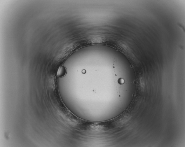 X0000102240311200808011254