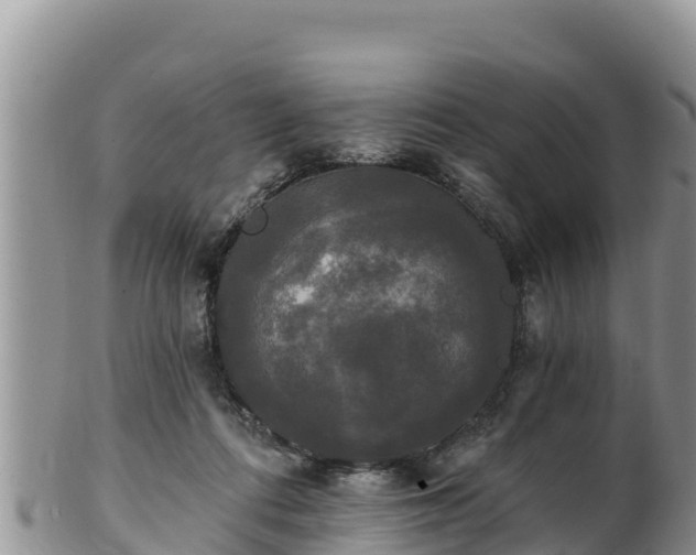 X0000102240312200808011254