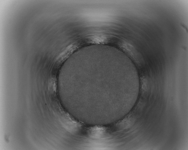 X0000102240313200808011254