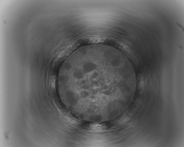 X0000102240315200808011254