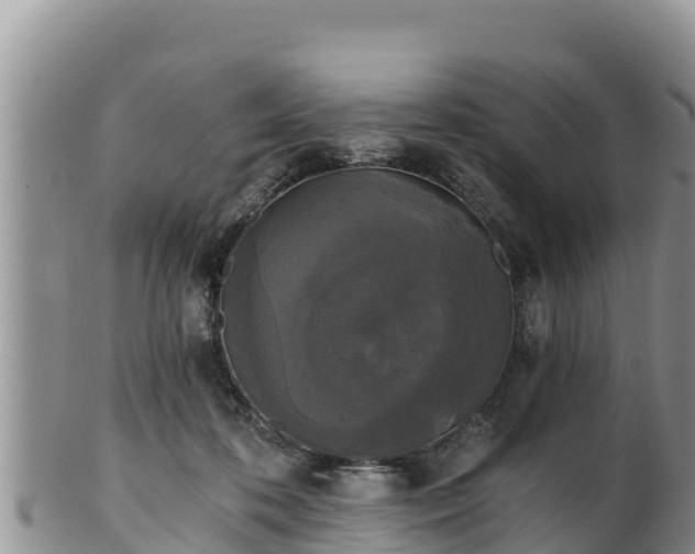 X0000102240316200808011254