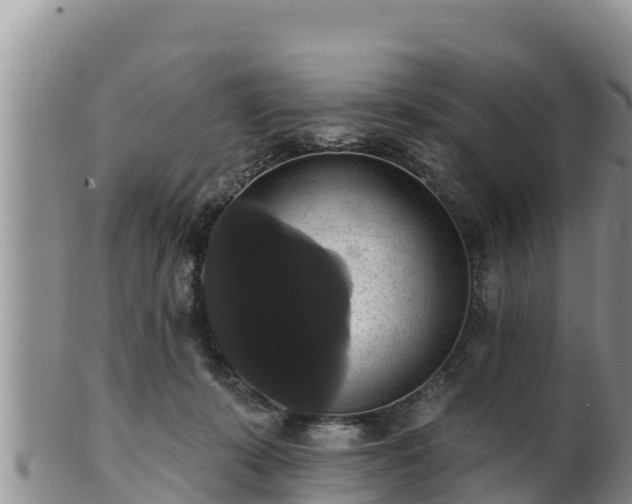 X0000102240319200808011254