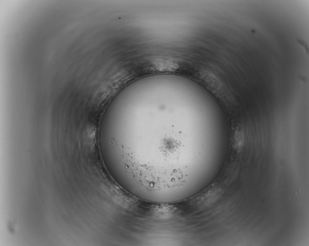 X0000102240321200808011254