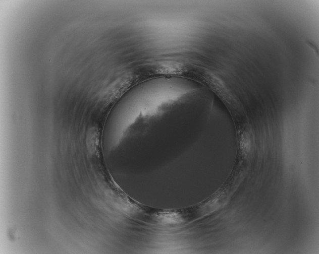 X0000102240322200808011254