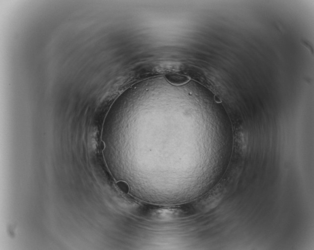 X0000102240323200808011254