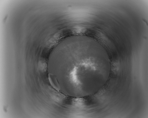 X0000102240324200808011254