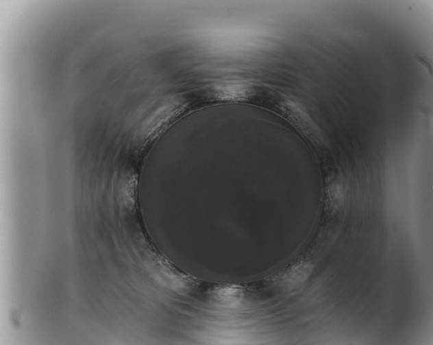 X0000102240325200808011254