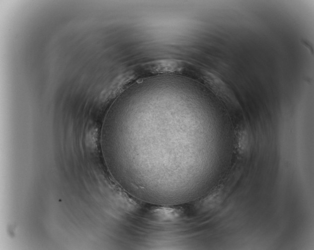 X0000102240326200808011254