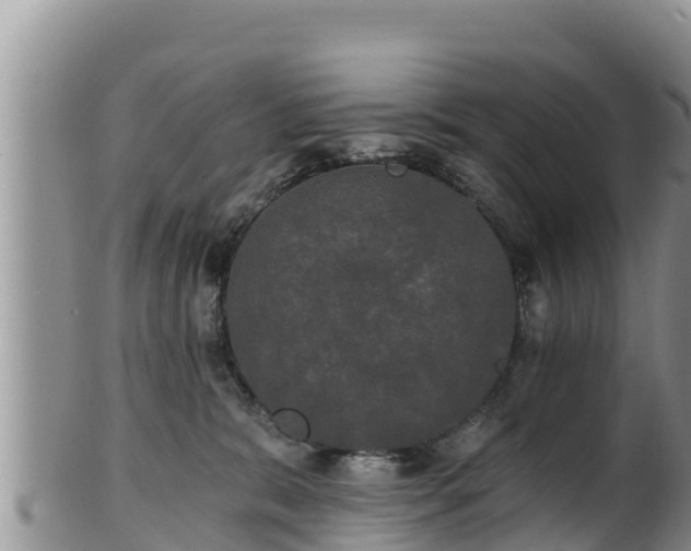 X0000102240327200808011254