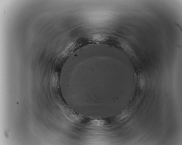 X0000102240328200808011254