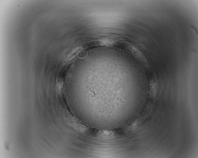 X0000102240329200808011254