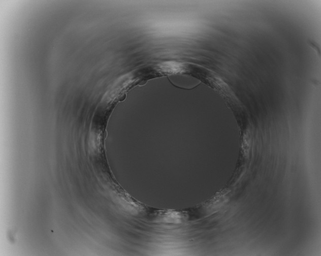 X0000102240330200808011254