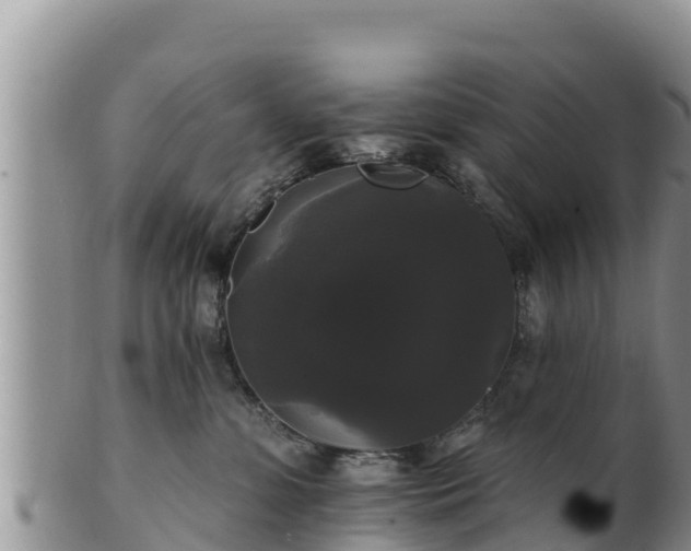 X0000102240331200808011254