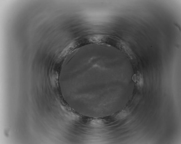 X0000102240332200808011254