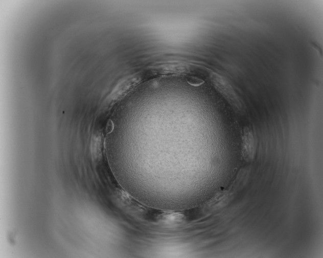 X0000102240333200808011254