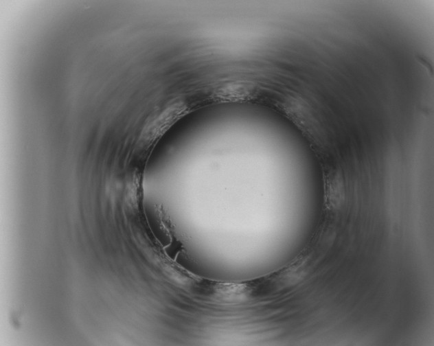 X0000102240334200808011254