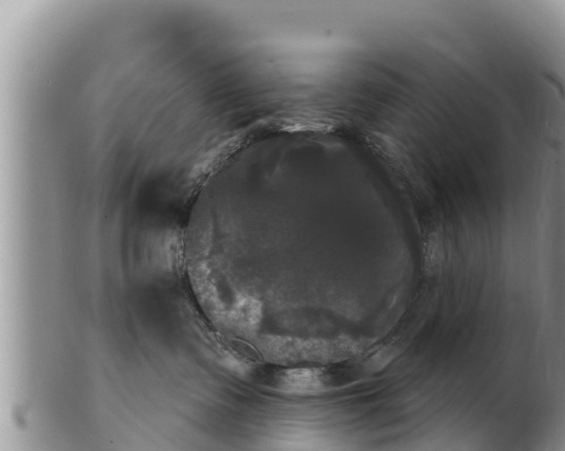 X0000102240335200808011253