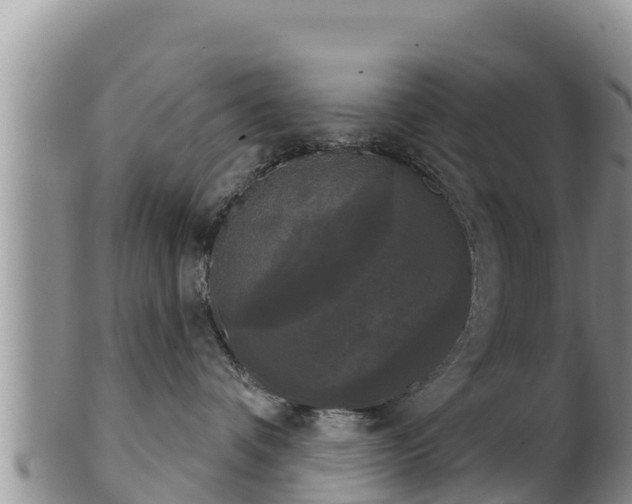 X0000102240336200808011253