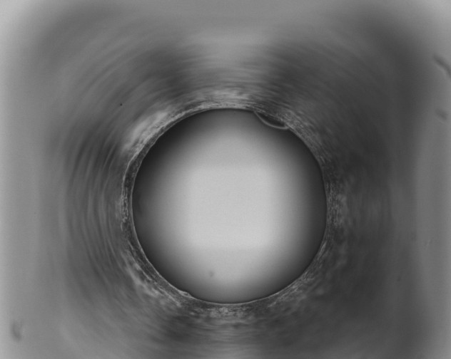 X0000102240338200808011253