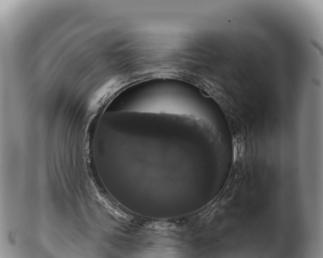 X0000102240339200808011253