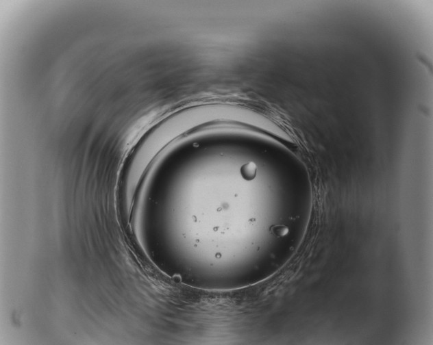 X0000102240340200808011253