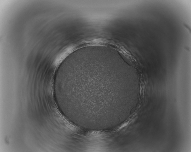 X0000102240341200808011253