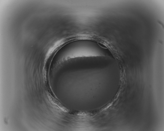 X0000102240343200808011253