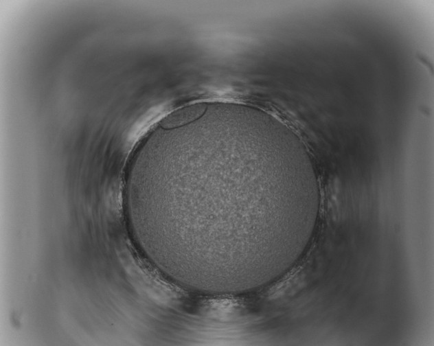 X0000102240344200808011253