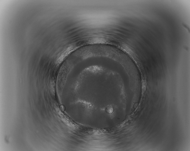 X0000102240345200808011253