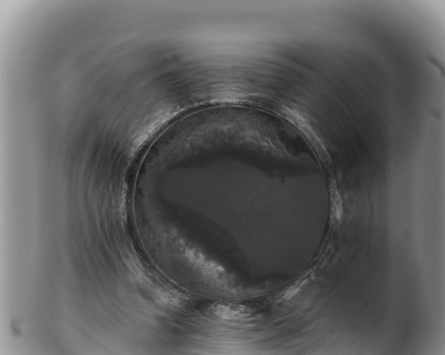 X0000102240346200808011253