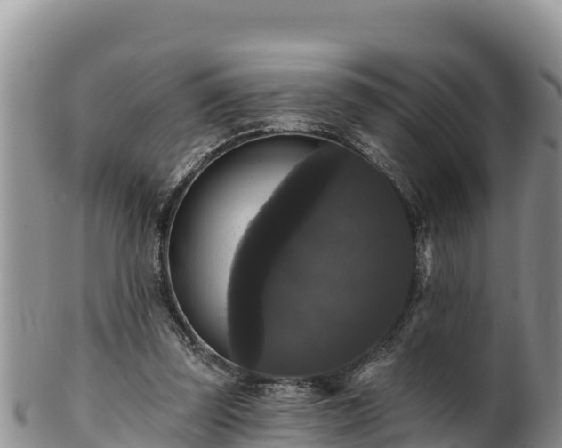 X0000102240347200808011253