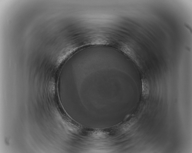 X0000102240348200808011253