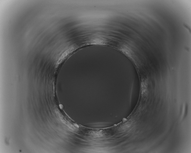 X0000102240349200808011253